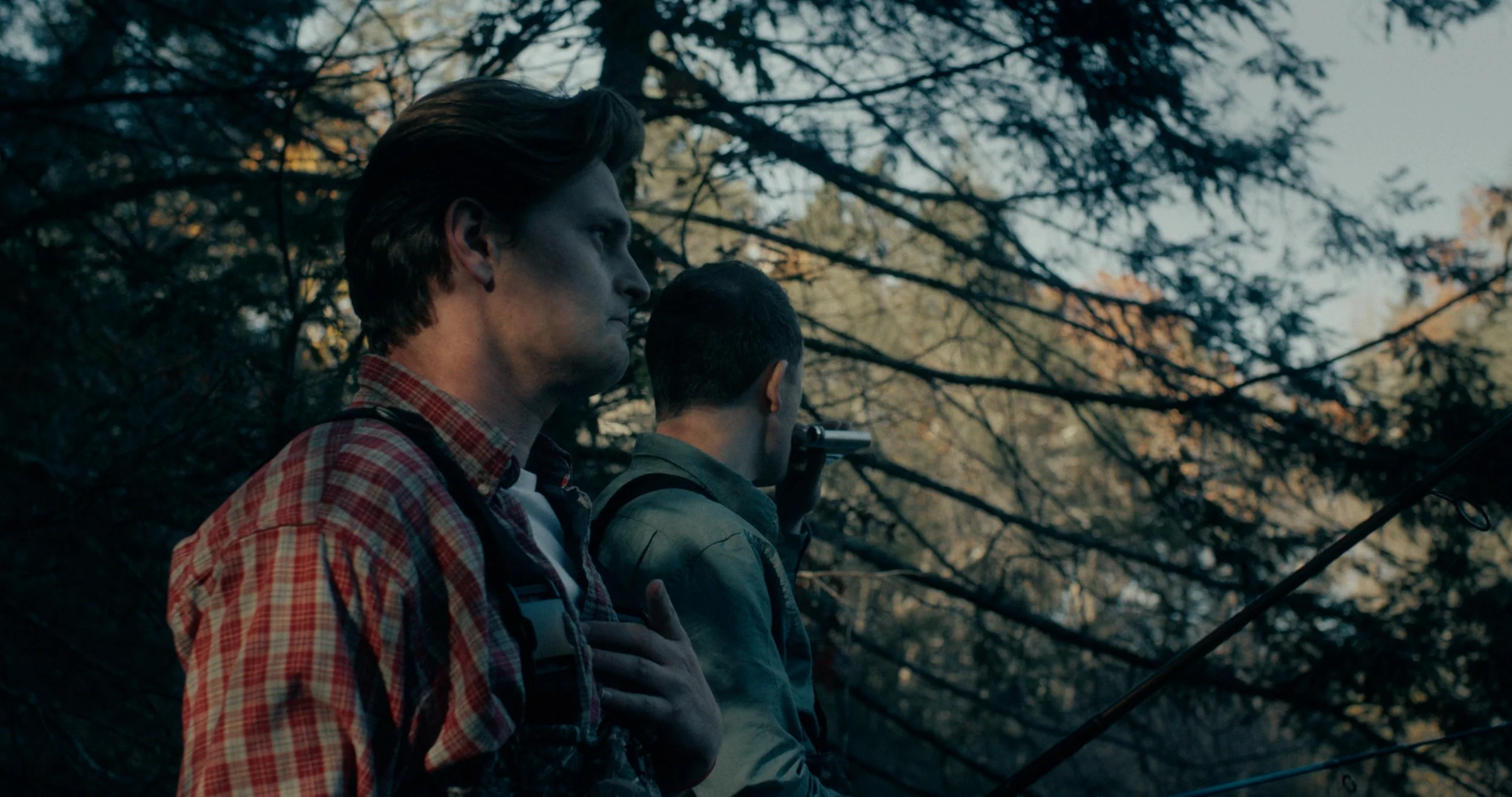 sheep color by EJP_1.4.1.jpg