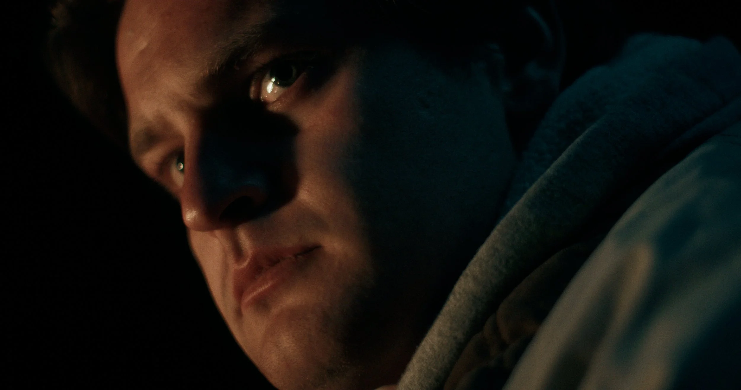 sheep color by EJP_1.6.1.jpg