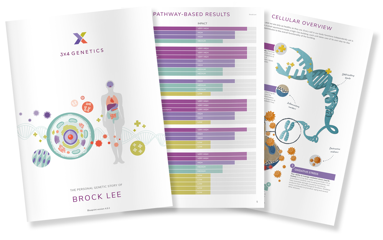 Brochure titled "3x4 Genetics" featuring a human silhouette with internal organs, a large DNA double helix illustration, and charts on genetic results and overview.