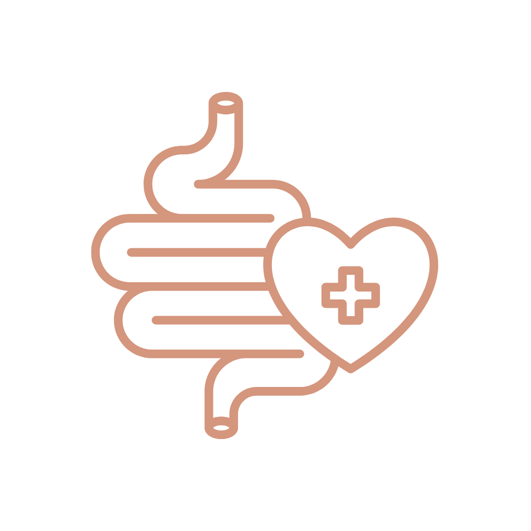 Gut health and digestive wellness services at Alkemi Functional Wellness