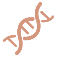 Illustration of a DNA double helix in a stylized, cartoon-like design.