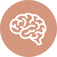 Illustration of a human brain on a beige background.