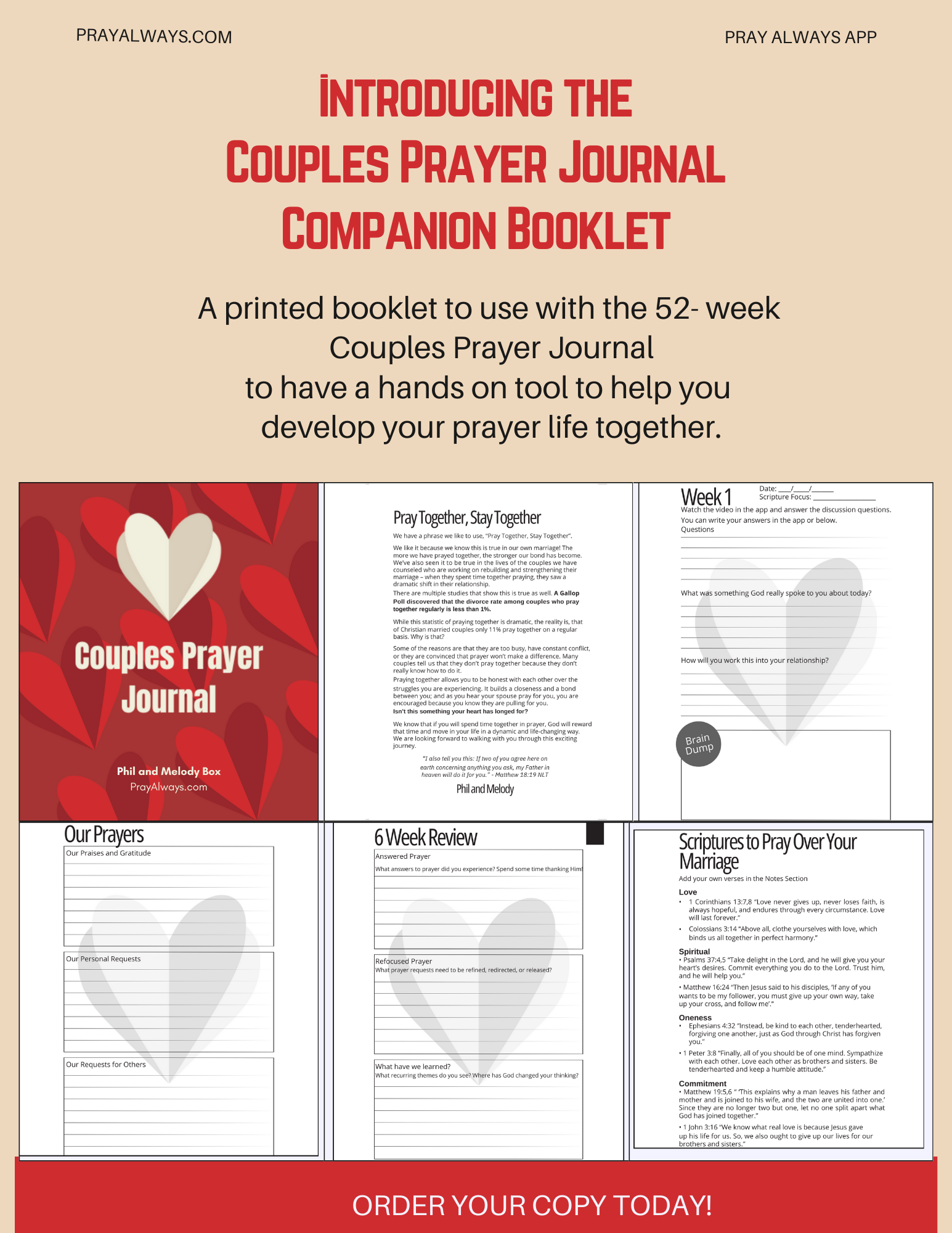cpj notebook 2.png
