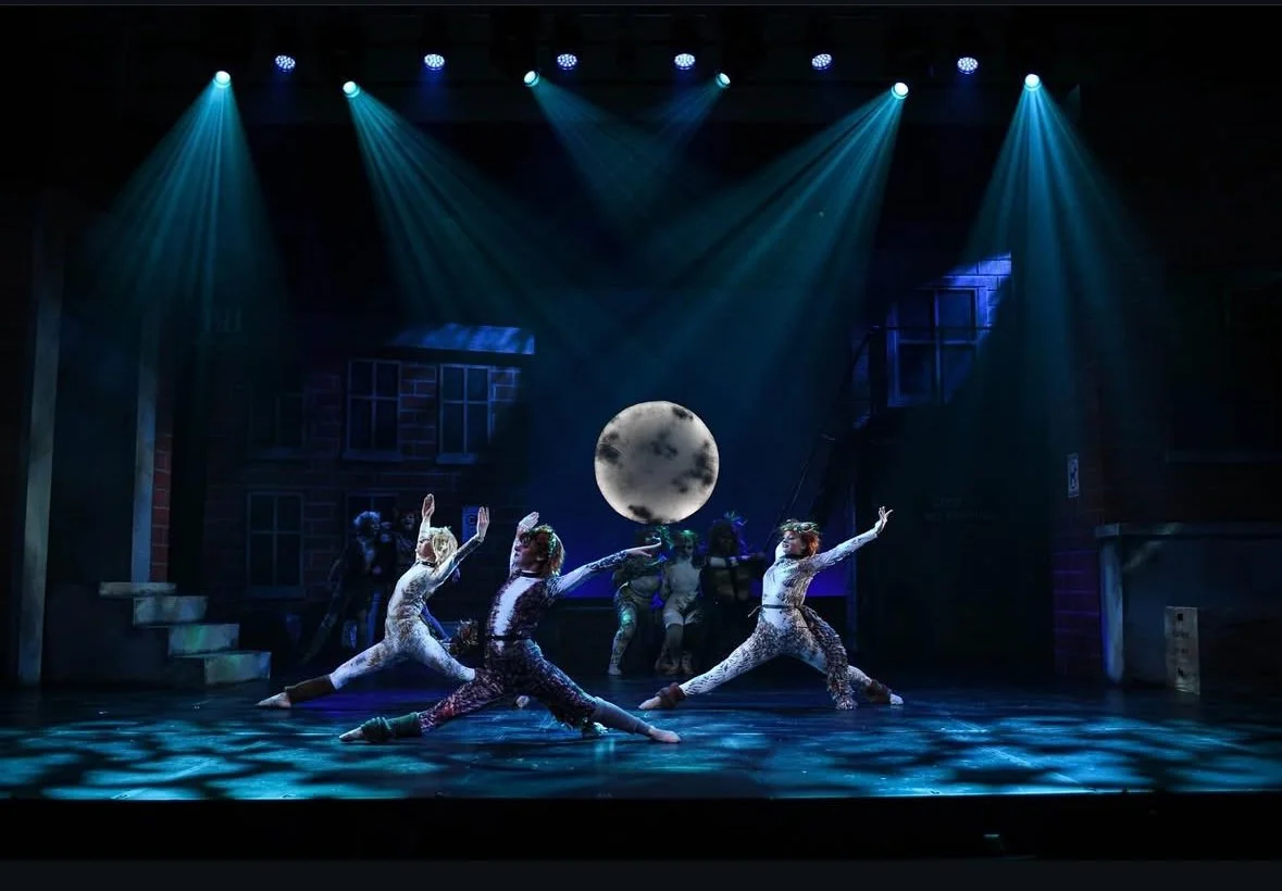 Dance performance on stage with dancers in animal costumes, illuminated by blue stage lights, and a large moon prop in the background.