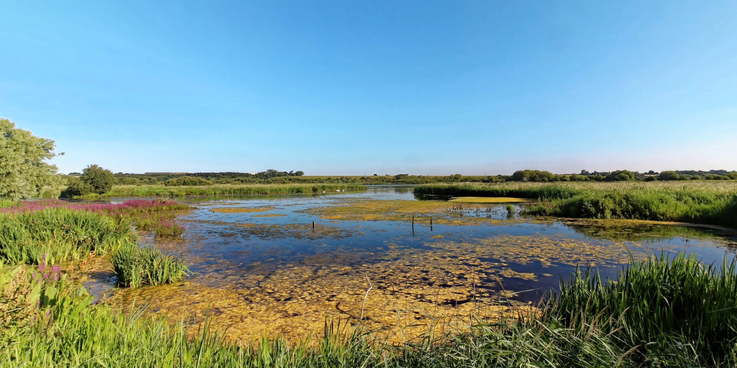 under-the-stodmarsh-sky-kent-wetland-panorama-fine-art-photography-print.jpg