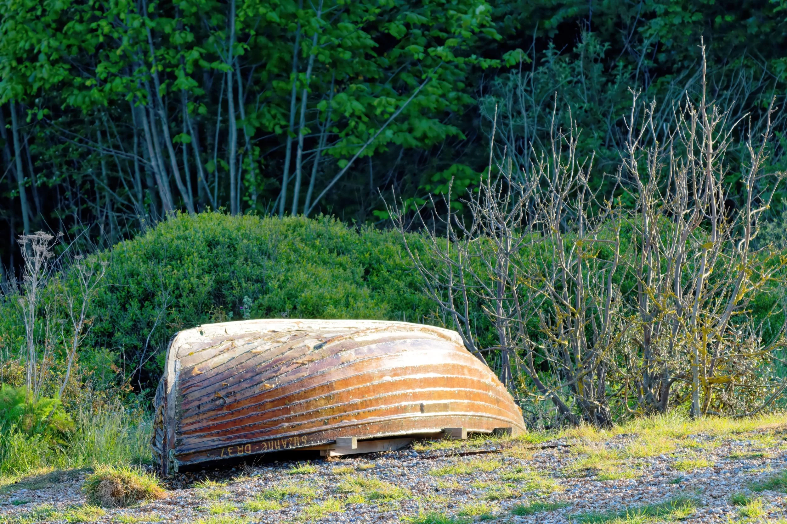 Old rusted boat on grass with green bushes and trees in the background.