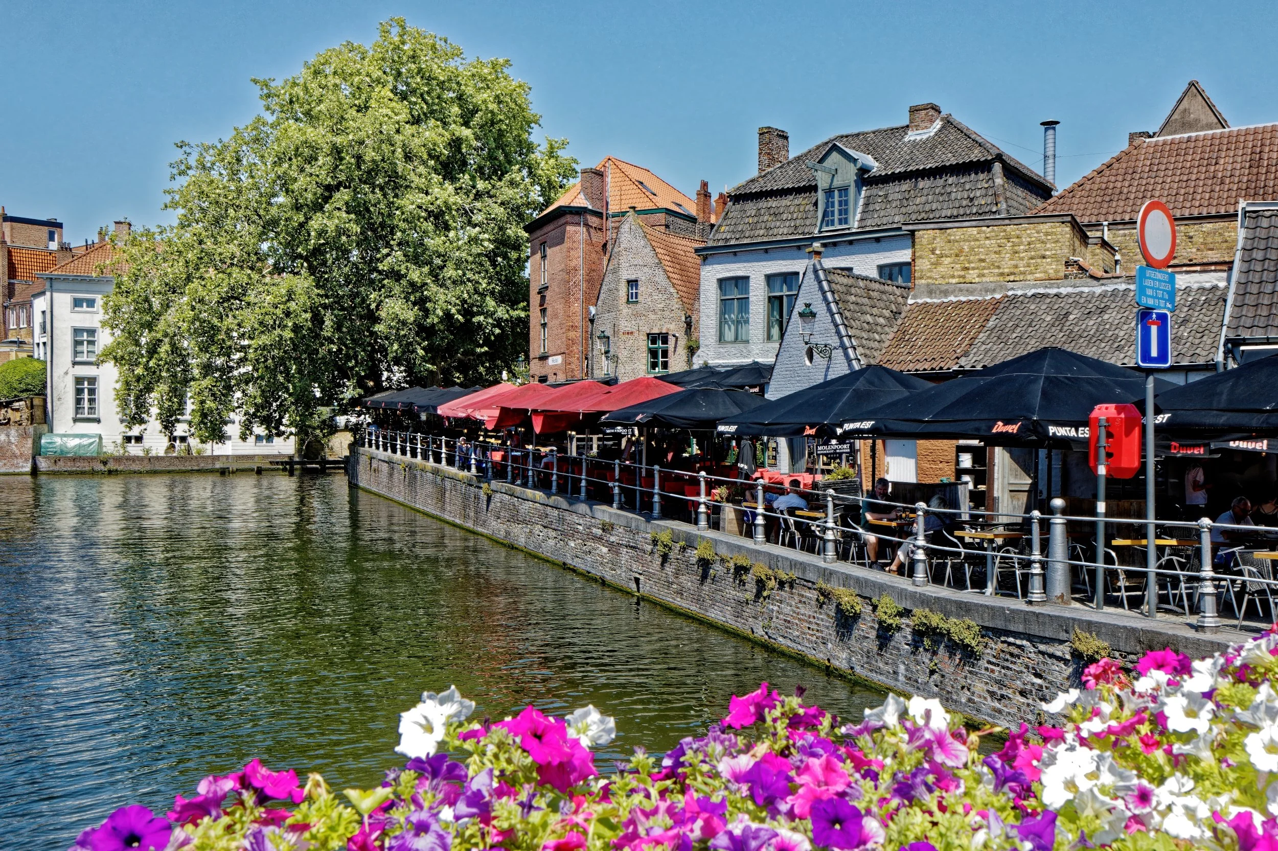 A canal lined with buildings and outdoor cafes with umbrellas, next to a large green tree and colorful flowers in the foreground, under a bright blue sky.