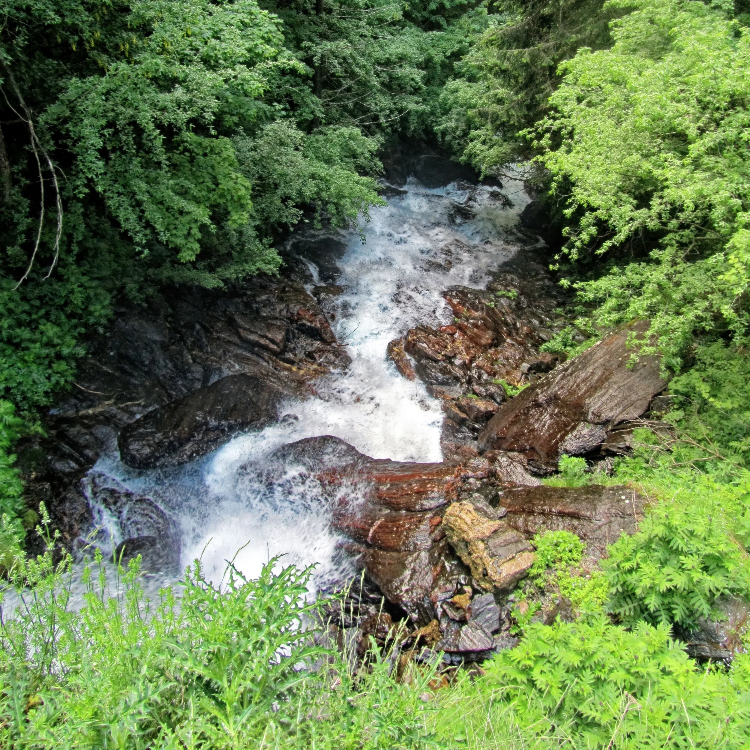 Mountain Stream