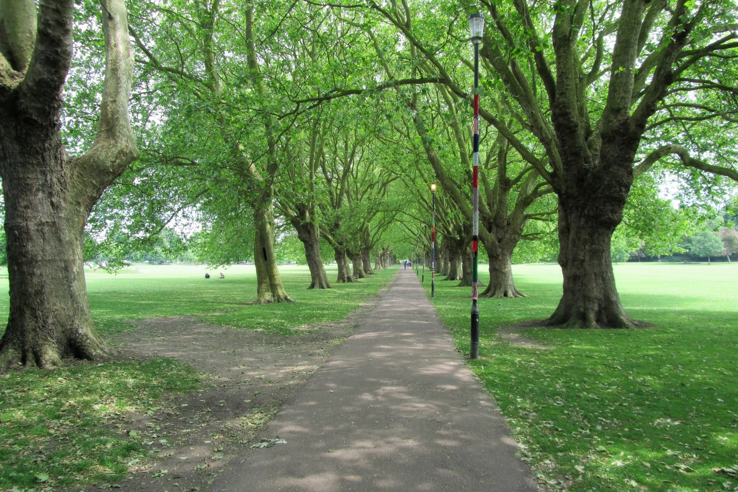 A tree-lined park pathway with large trees on either side, colorful lampposts along the path, and a grassy area with people in the distance.