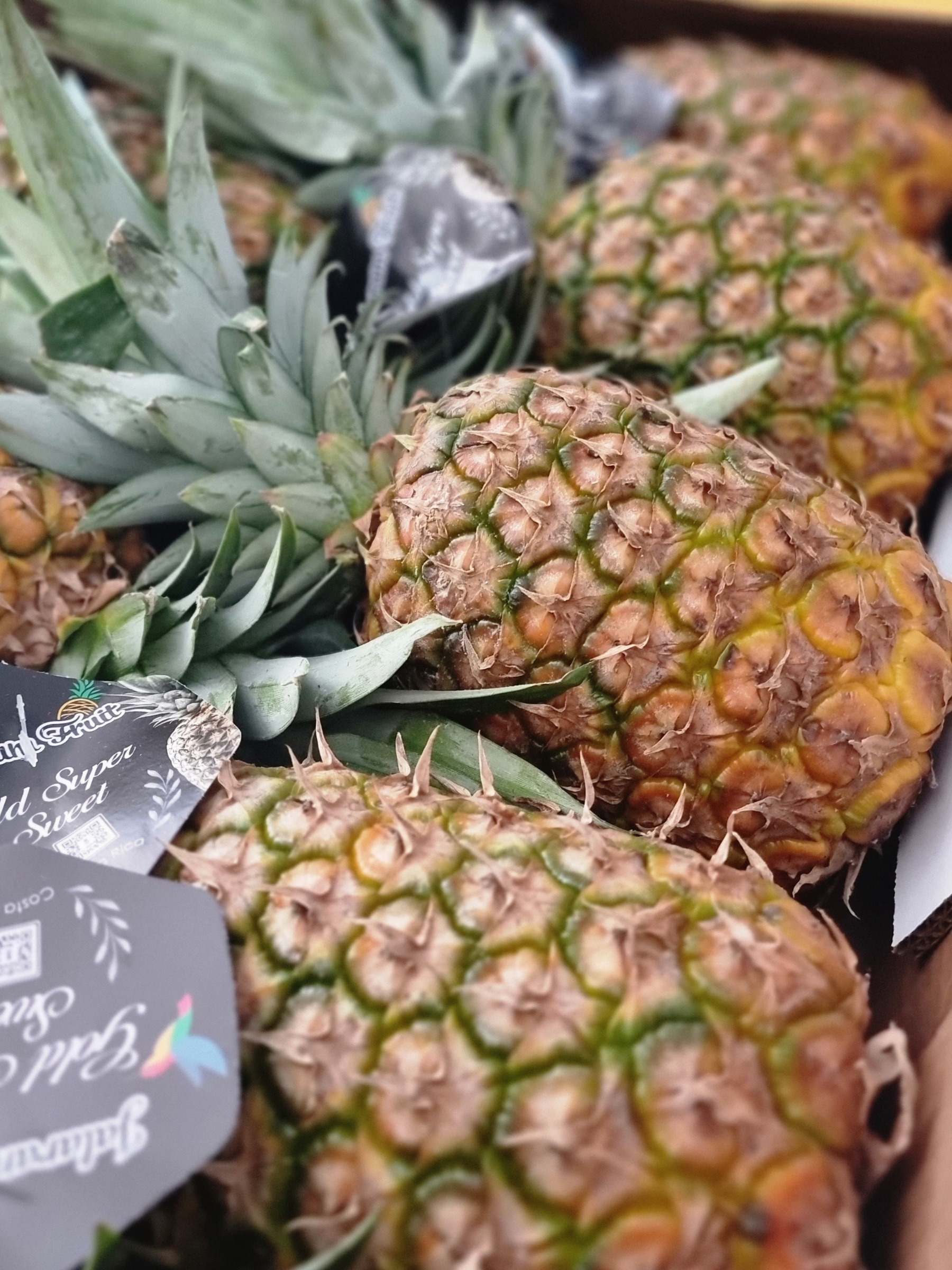 Ananas fruits.png