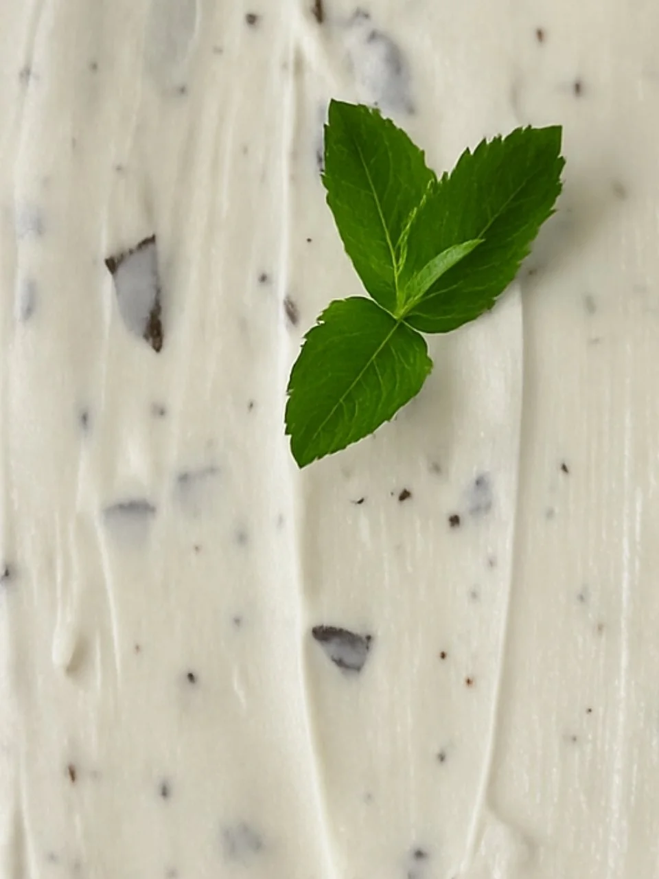 Menthe-chocolat