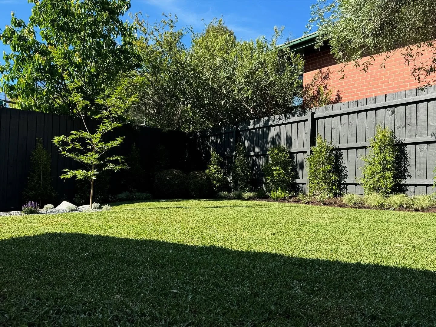 A backyard with a green lawn, small trees, shrubs, and a black wooden fence under a clear blue sky.