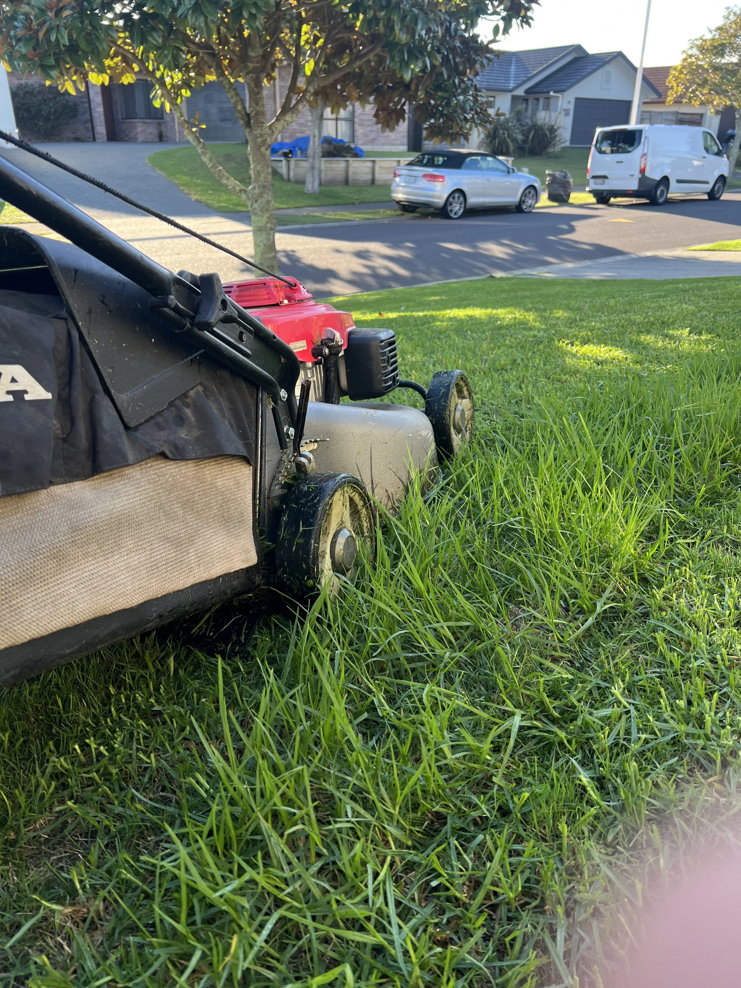 A lawn mower on a grassy lawn with houses and parked vehicles in the background, including a red and gray lawn mower in the foreground.