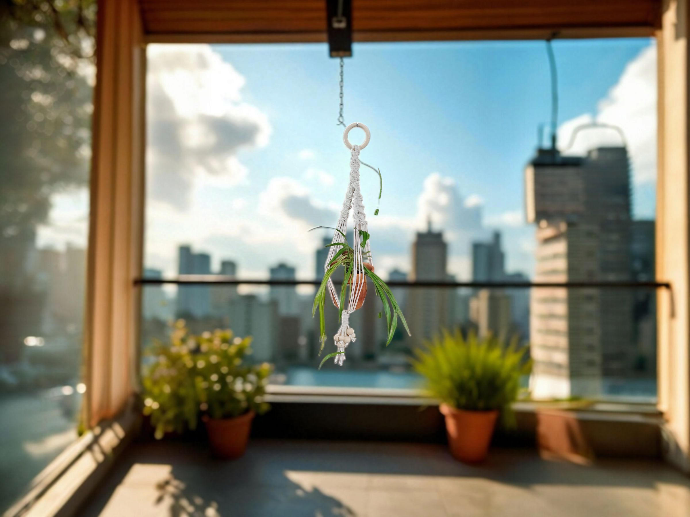 macrame hanger 5.png