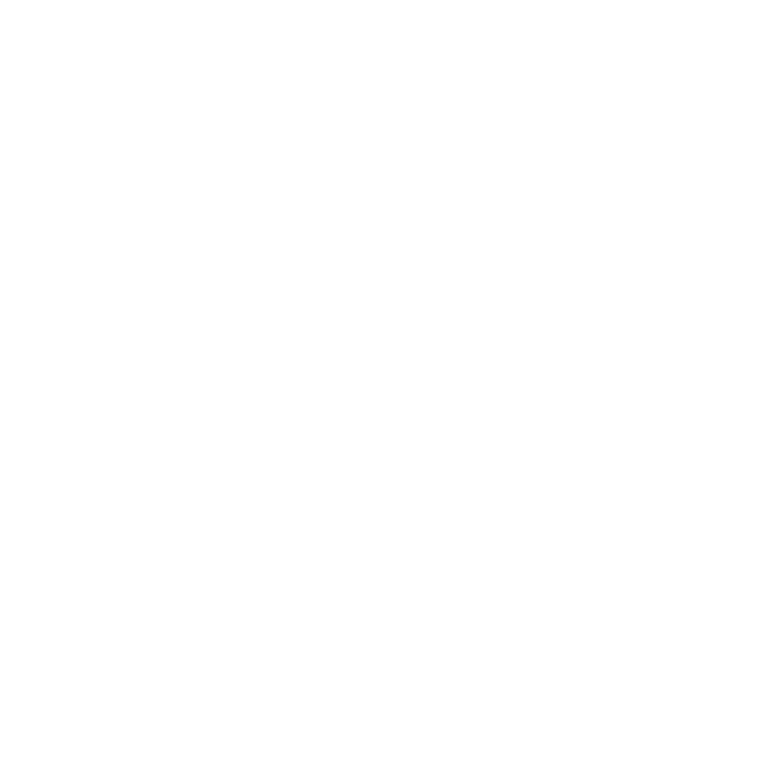 Night Witch Studio