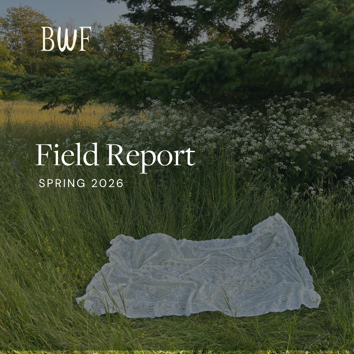 Coming Soon: 2026 Field Report