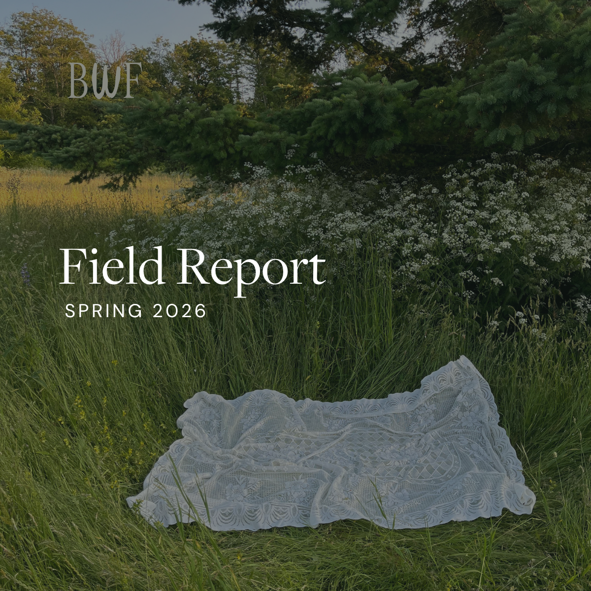 2026 Field Report