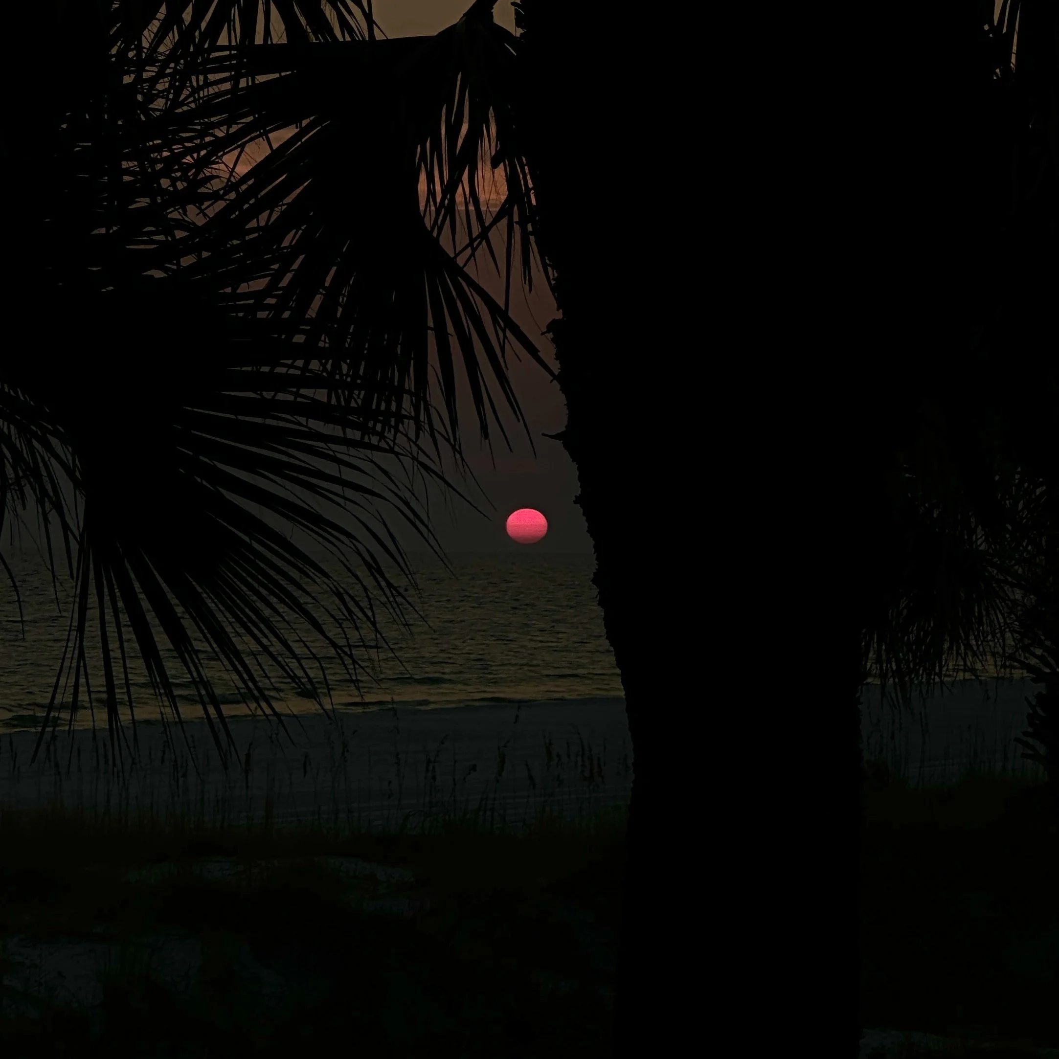 sometimes i disappear