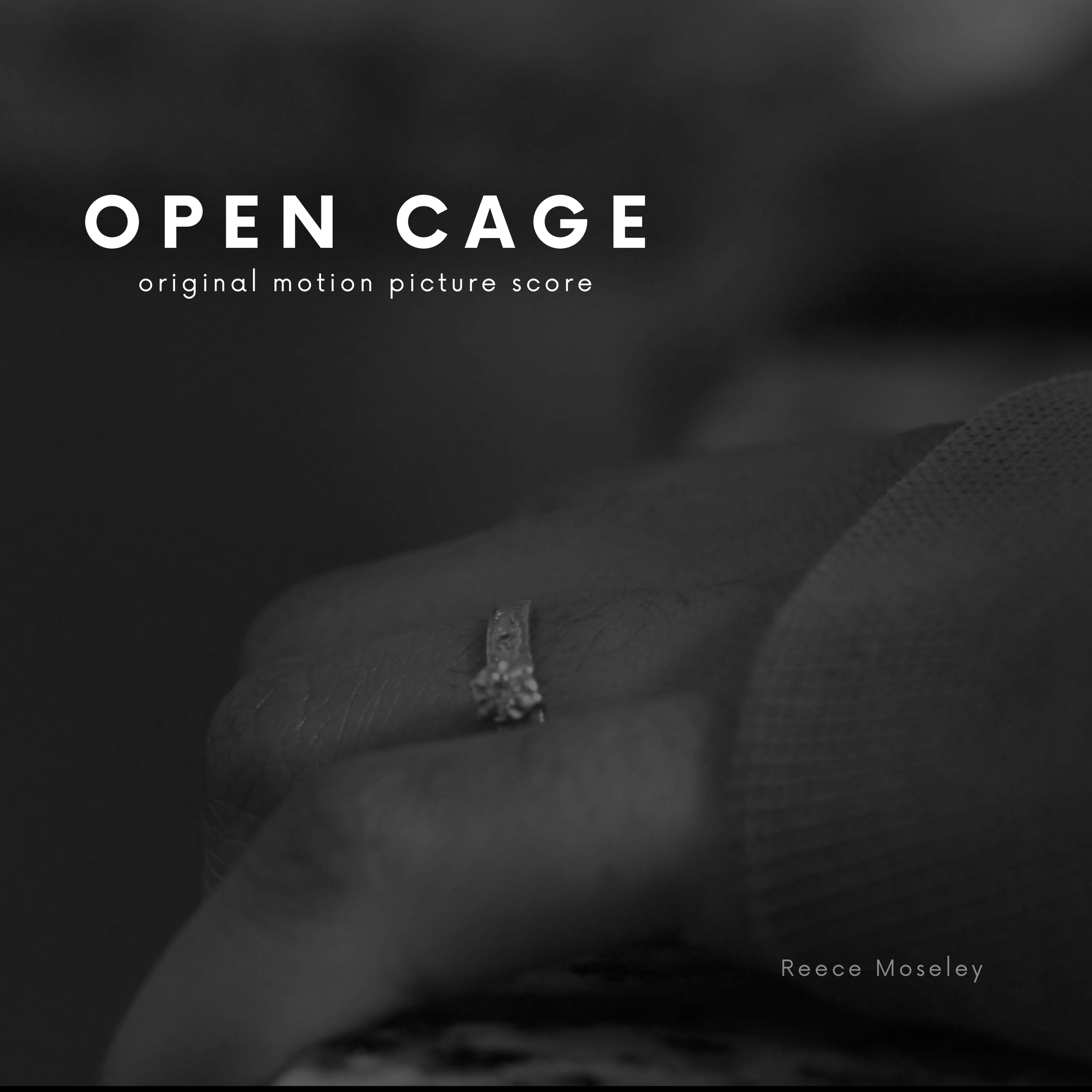 Open Cage