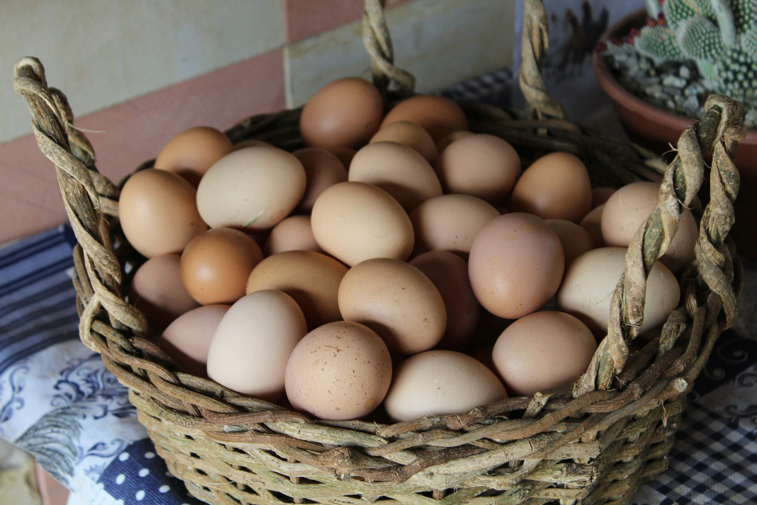 How to Diversify Your Income Sources in Four Easy Steps