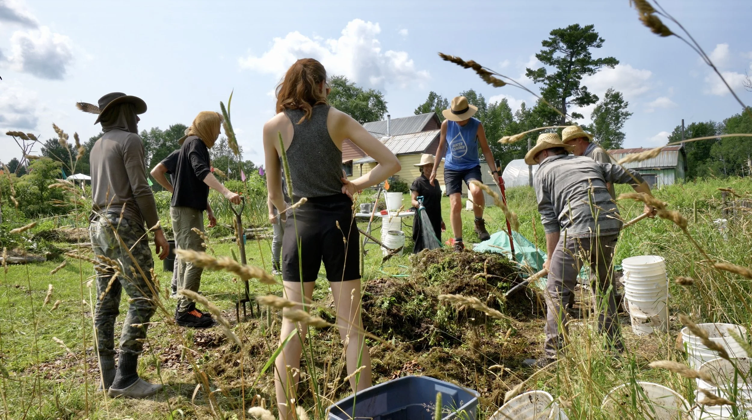 Screenshot 2025-06-22 at 9.38.17 AM.jpeg