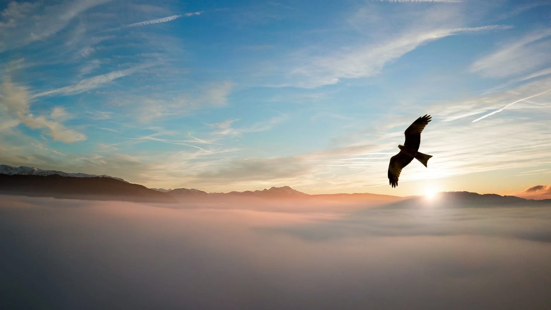 7 Ways to Get Centered for Empaths and HSP