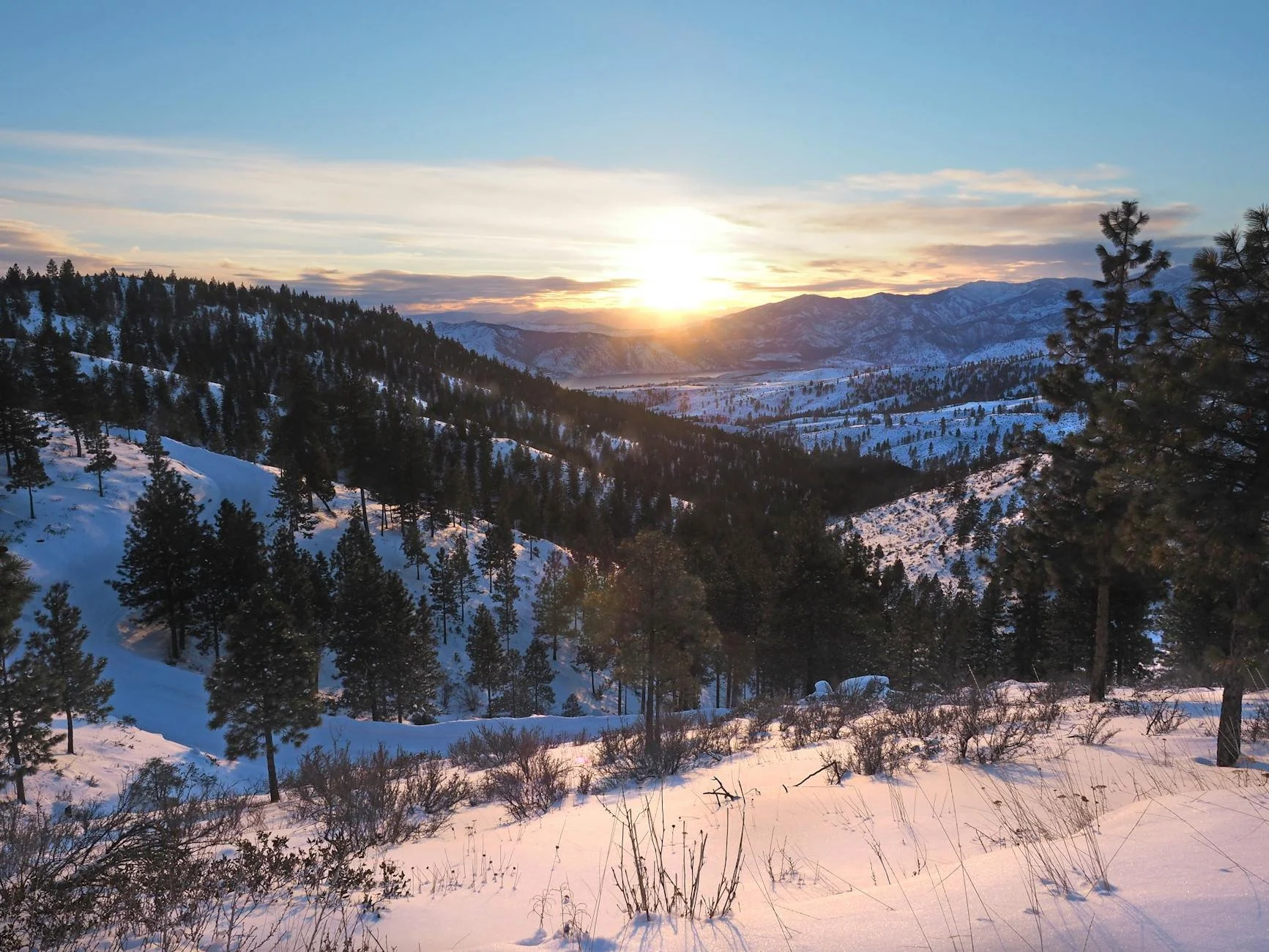 New Year, New Practice: Weekly HSP Healing Arts Prompt