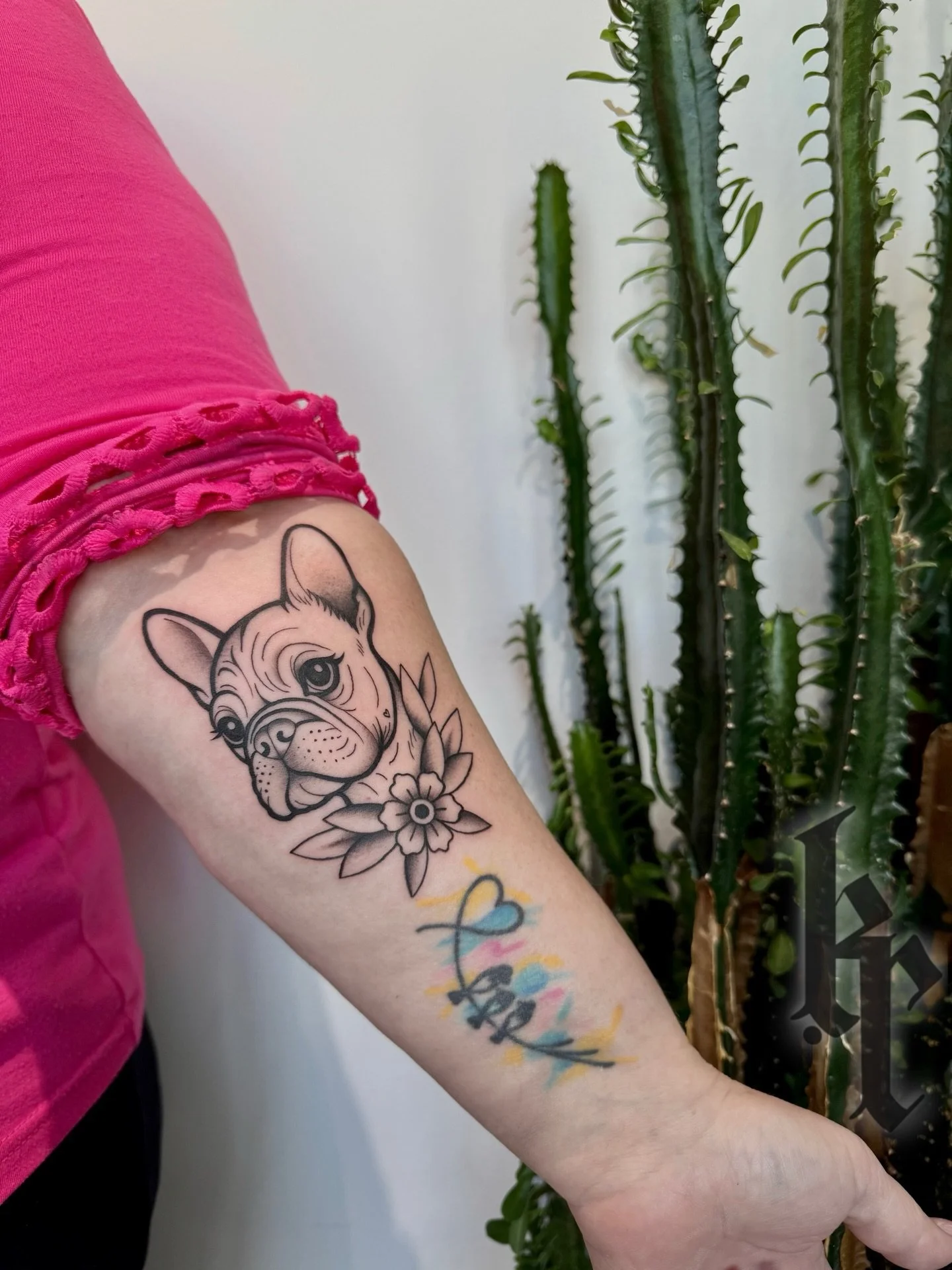 Oakley💛
more pet portraits please n thanks☺️
thanks for the trust @selling_thompson_okanagan 
&bull;
&bull;
&bull;
#frenchbulldog #frenchietattoo #downtownkelowna #screamineagletattoo #petportrait
