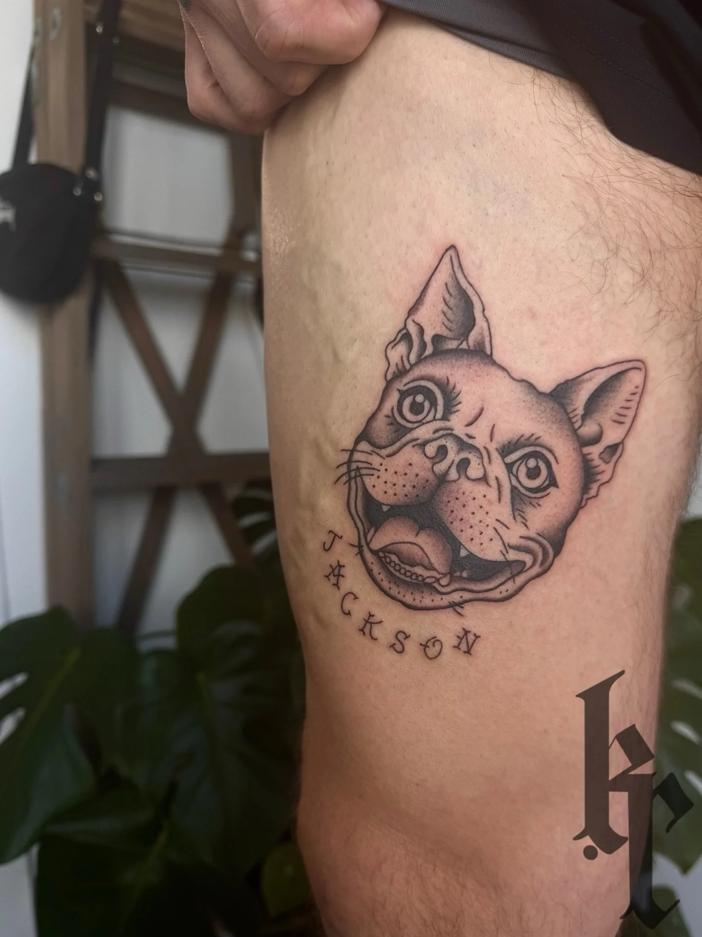 Jackson🐾 swipe to see him in real life💛
thanks for the trust @kyletabor can&rsquo;t wait to tattoo Watson next month☺️
&bull;
&bull;
&bull;
#bostonterriorsofinstagram #petportrait #screamineagletattoo #downtownkelowna