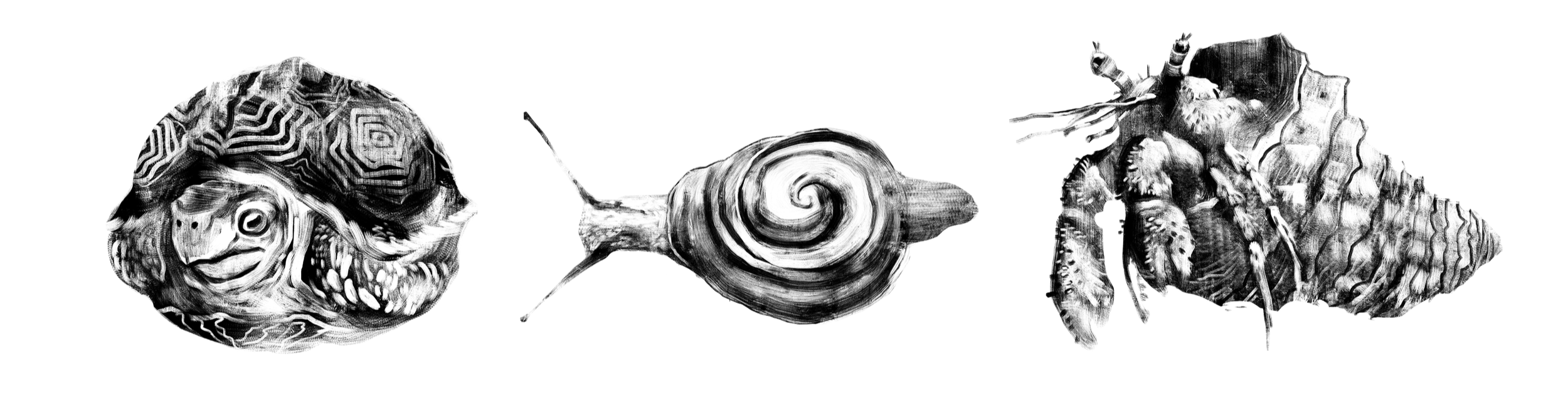A black and white illustration of a fish skeleton with a detailed fish head and body on the right, and a fish skull on the left.