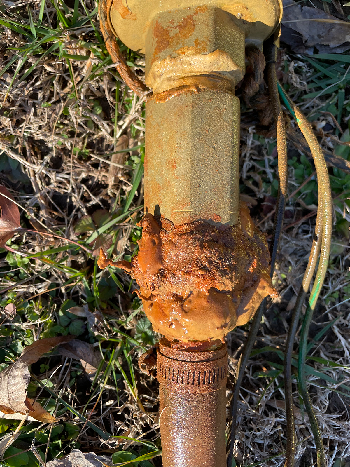 A rusted and corroded metal pipe lying on the ground surrounded by dead leaves, grass, and weeds.