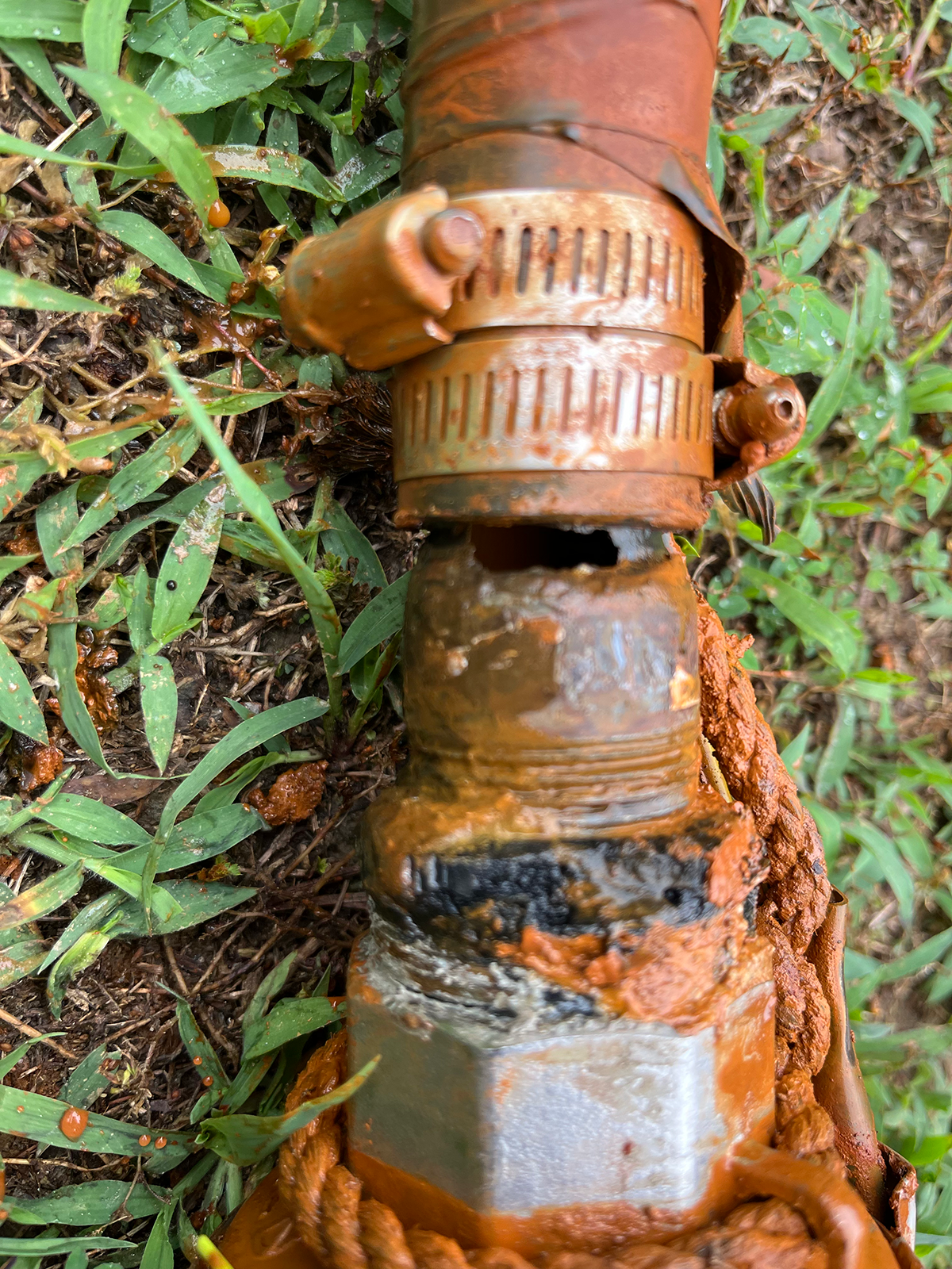 A corroded rusted pipe with mud and dirt, lying on wet earth surrounded by green grass and small plants.