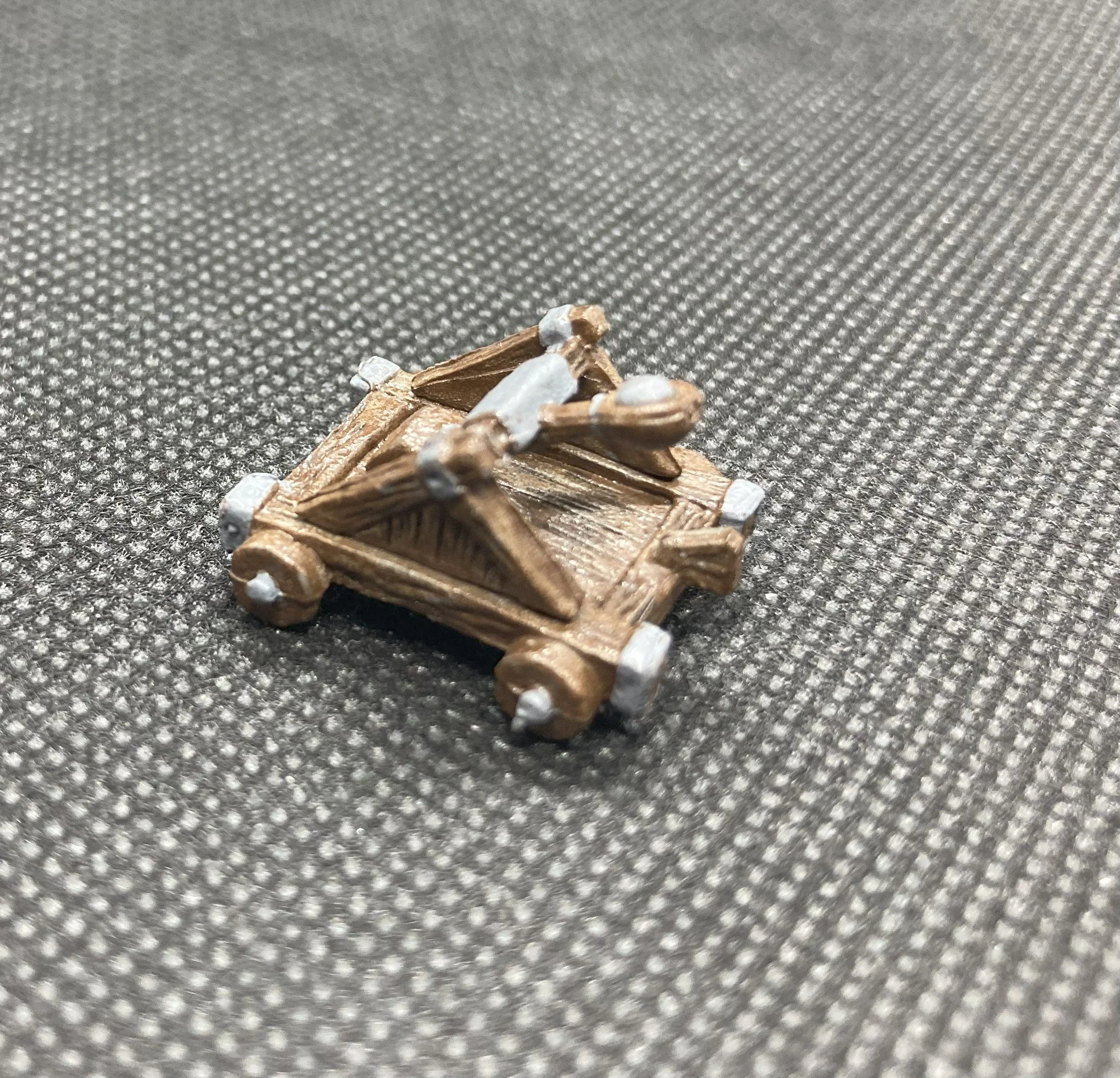 IMG_1586.jpg
