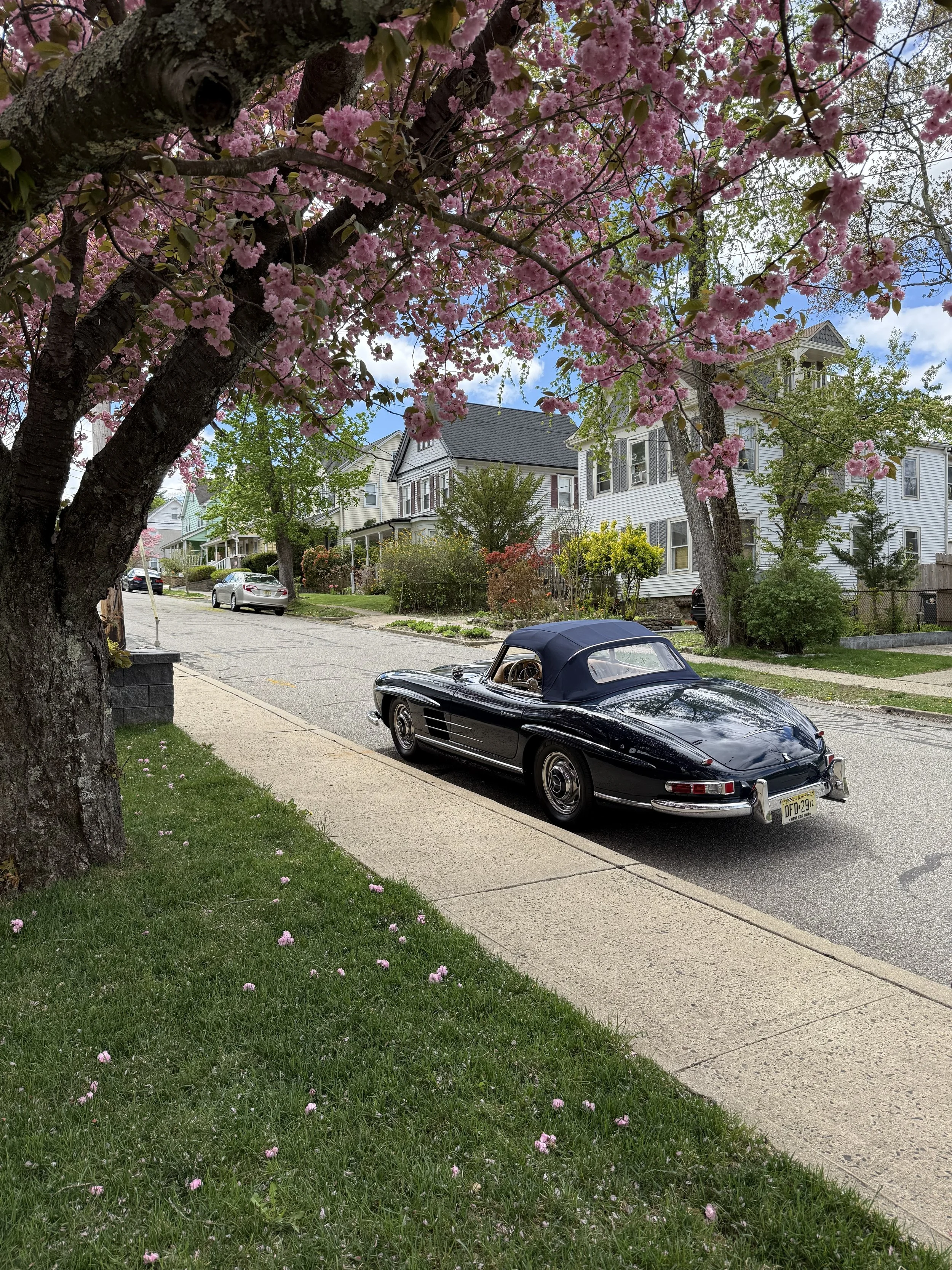 IMG_2018.jpeg