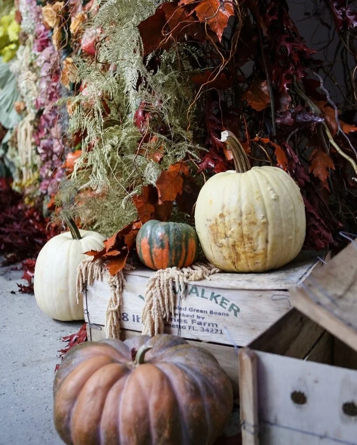 As the seasons begin to shift, we&rsquo;re savoring every last flavor of fall 🍂