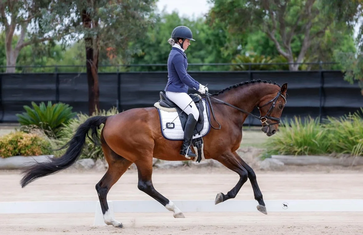 A female equestrian riding a brown horse in a dressage arena with a sandy surface and green trees in the background.