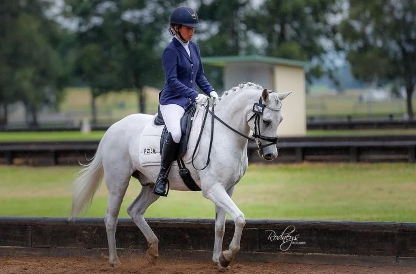 A rider dressed in a blue jacket and white riding pants on a white horse, riding along a dirt track in a fenced outdoor arena during daytime.