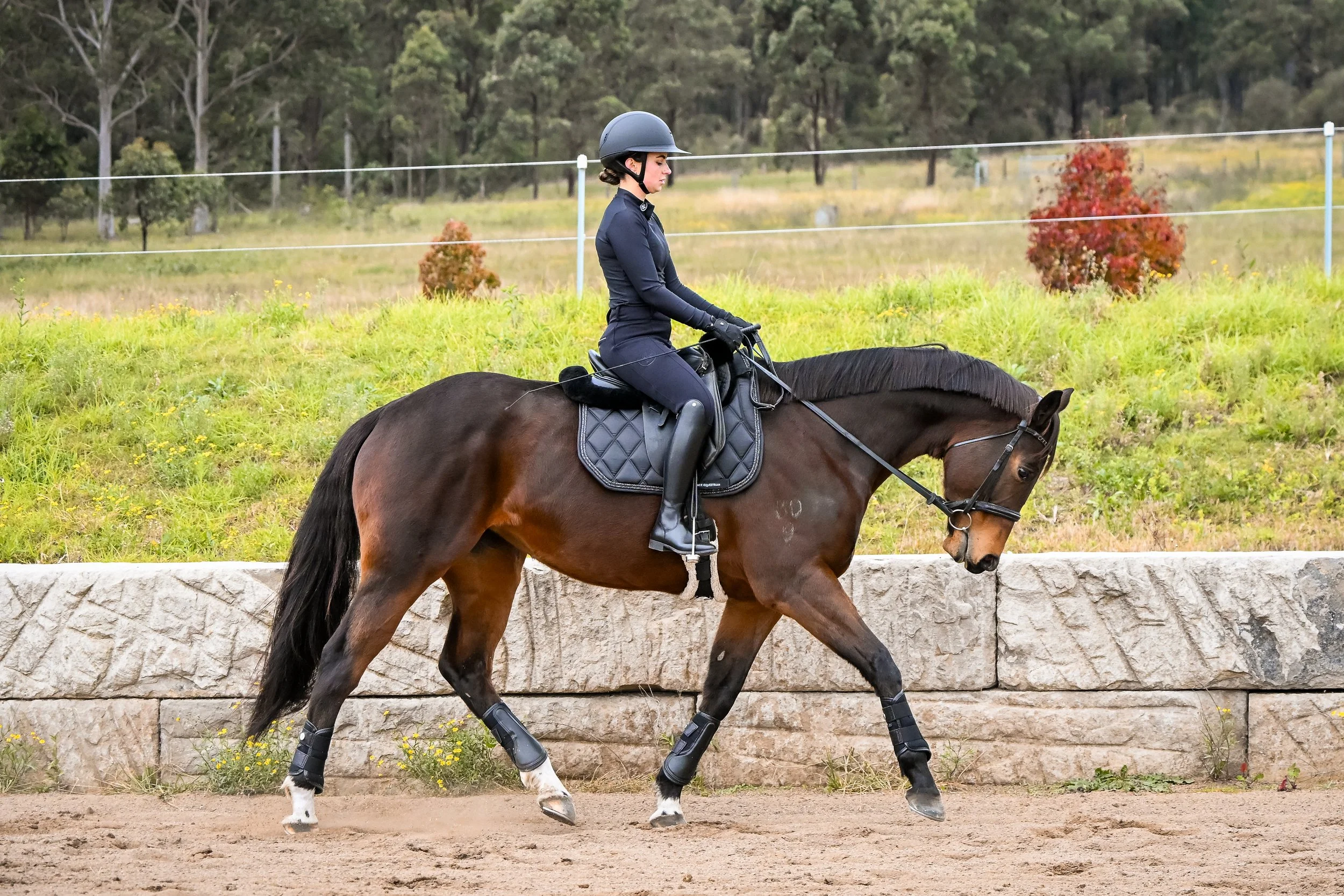 A woman riding a brown horse with black mane and tail on a dirt track, wearing black riding gear and helmet, with a stone wall and grassy field with trees in the background.