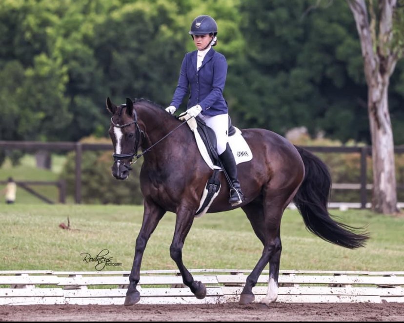 A woman dressed in riding attire, including a helmet and jacket, riding a dark brown horse with a white mark on its face in an outdoor arena, with trees and a wooden fence in the background.