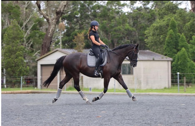 Young woman riding a dark brown horse with gray leg wraps in an outdoor riding arena, with a wooden building and green trees in the background.