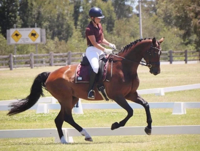 A woman riding a horse during a dressage event on a green field with wooden fences and trees in the background.