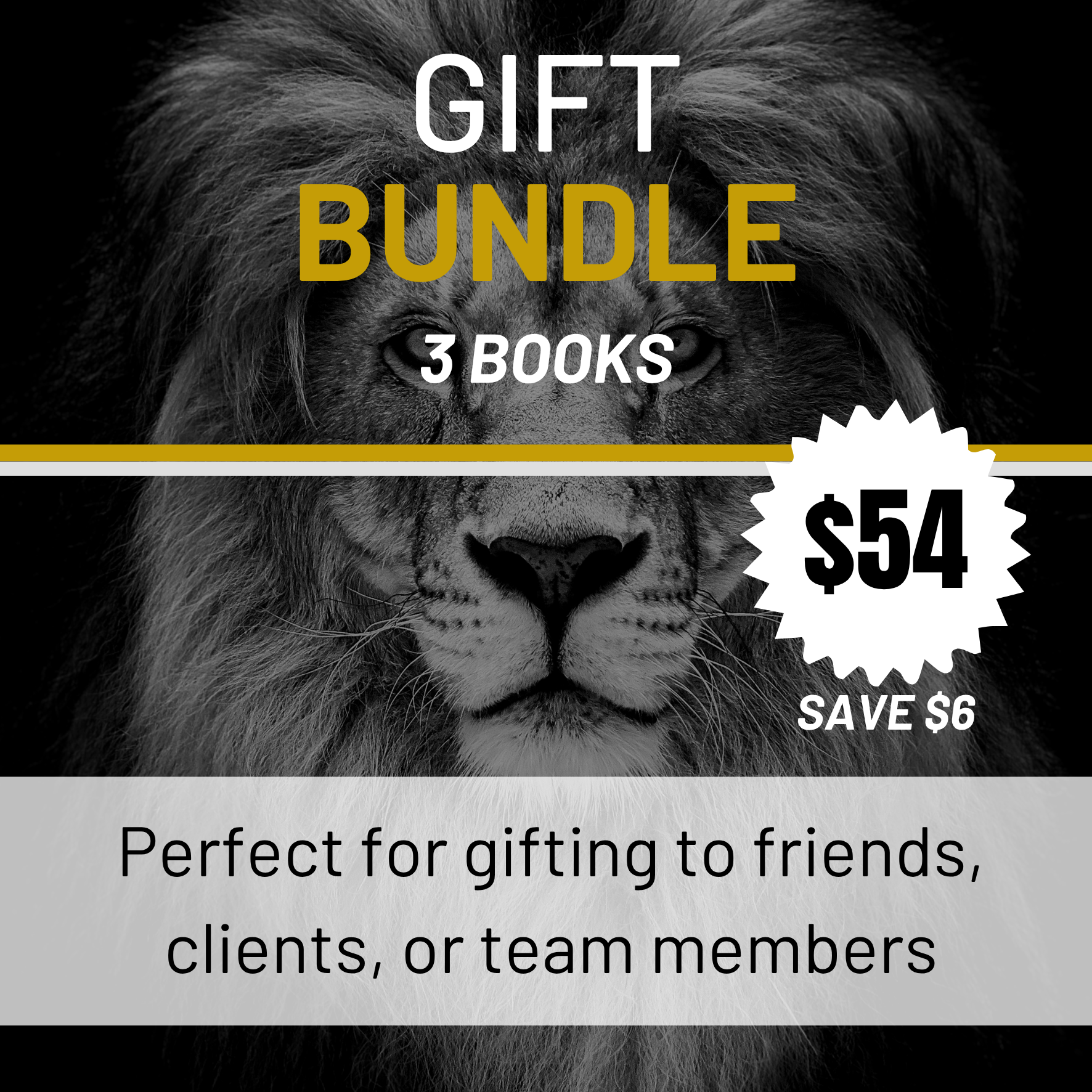 3-Book Bundle