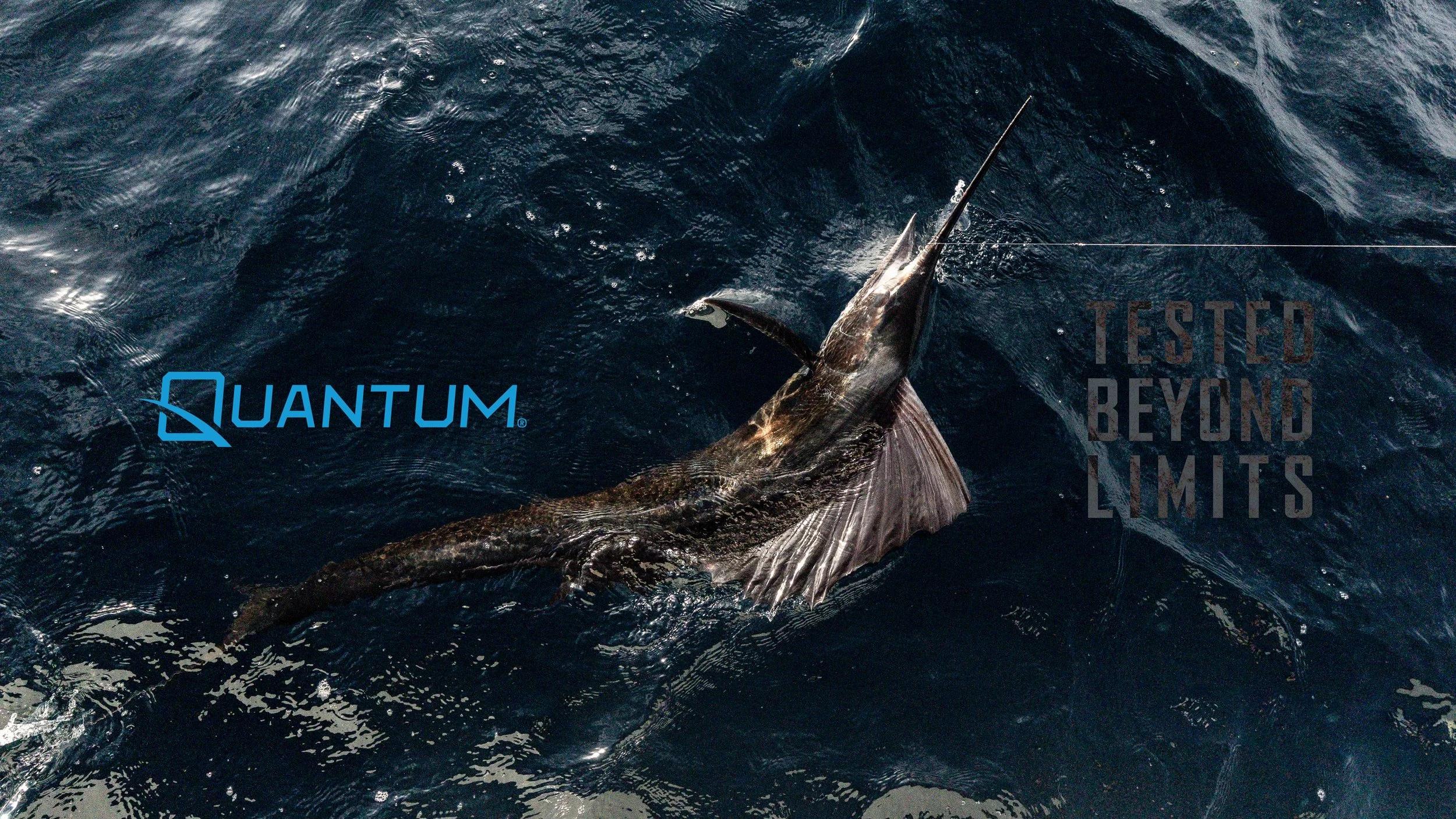 Graphic_Quantum-Sailfish.jpeg