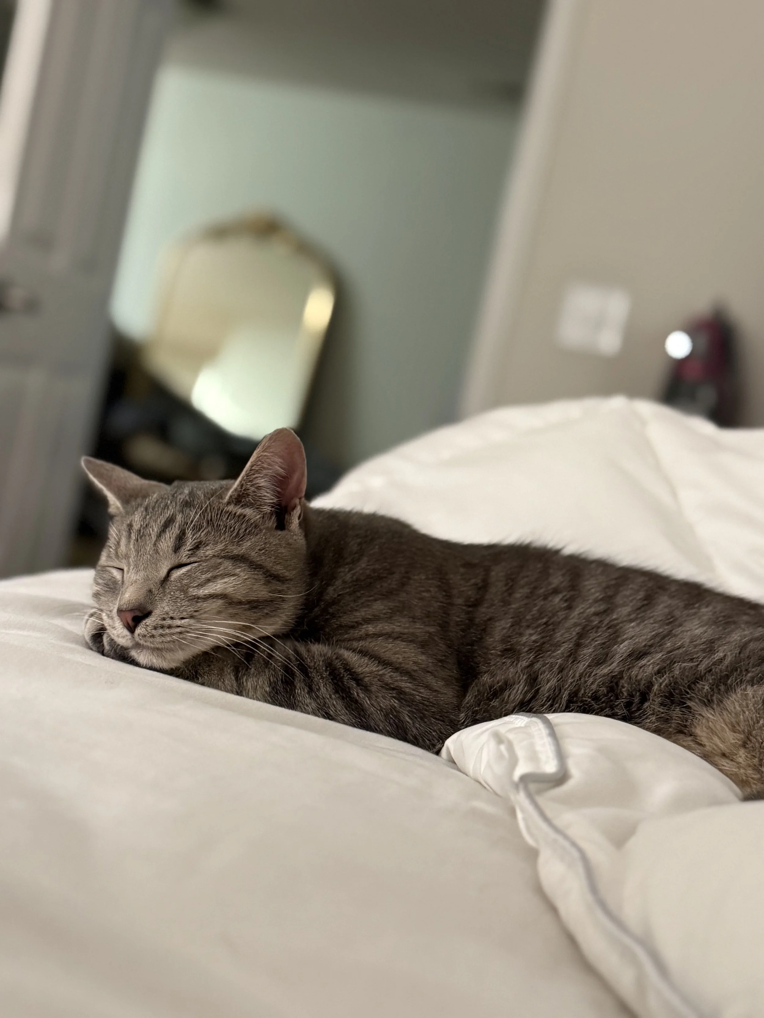 Image - 2025-06-04T201458.418.jpg