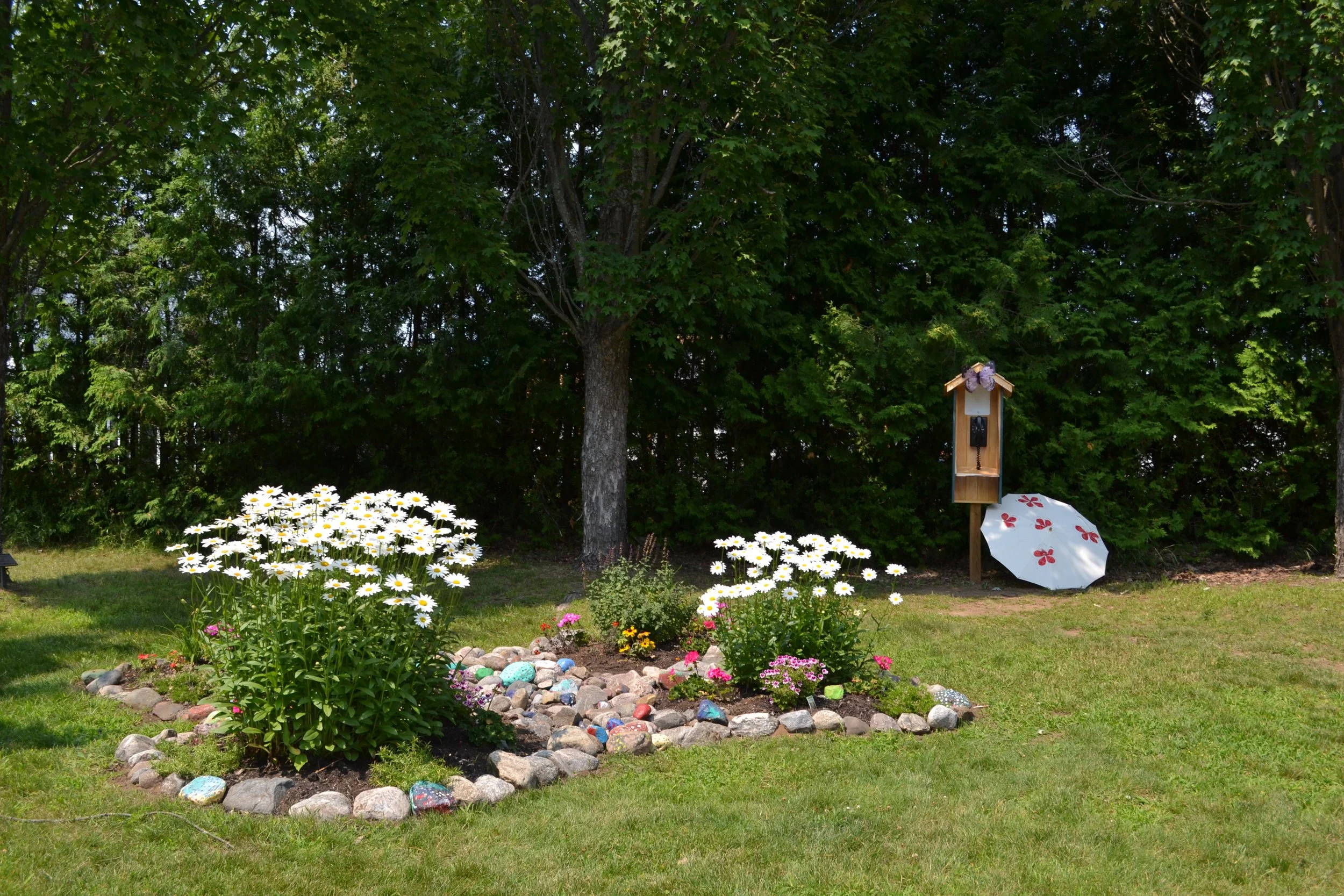 DSC_0095.JPG
