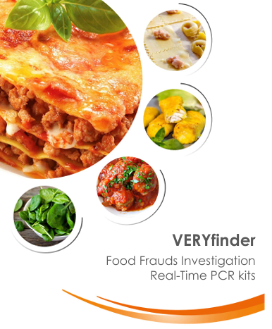 VERYfinder.png