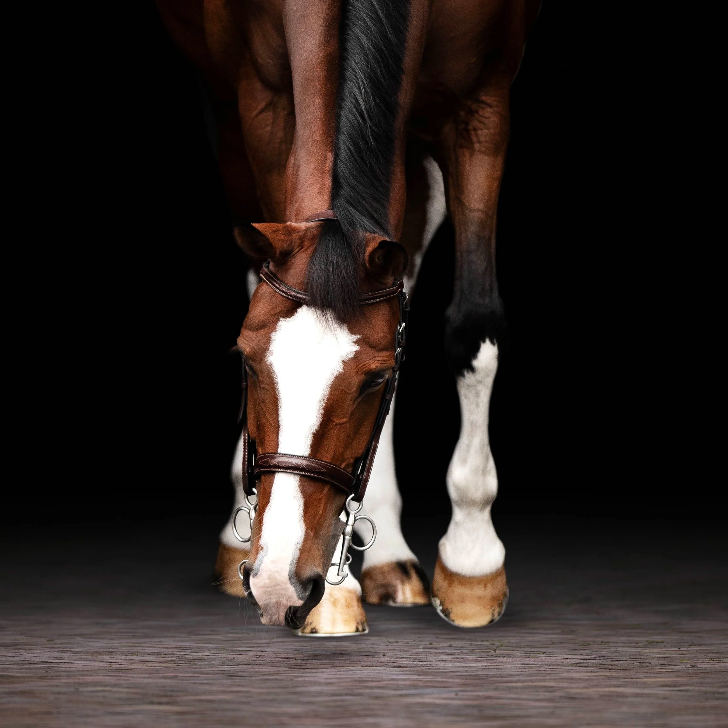 How are my black background equine portraits created?