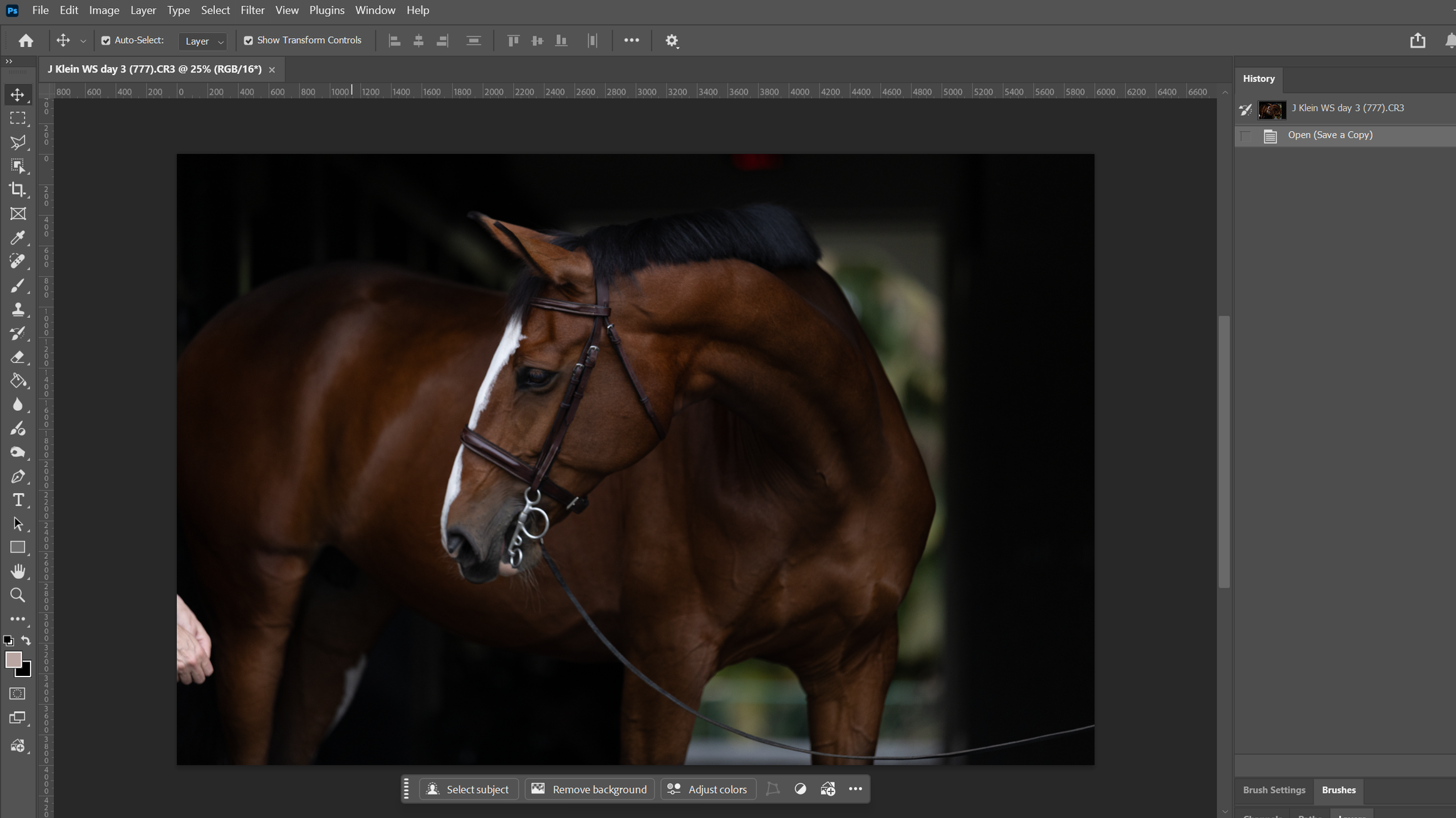 A brown horse with a white stripe on its face, wearing a bridle, standing in a dark stable or barn.