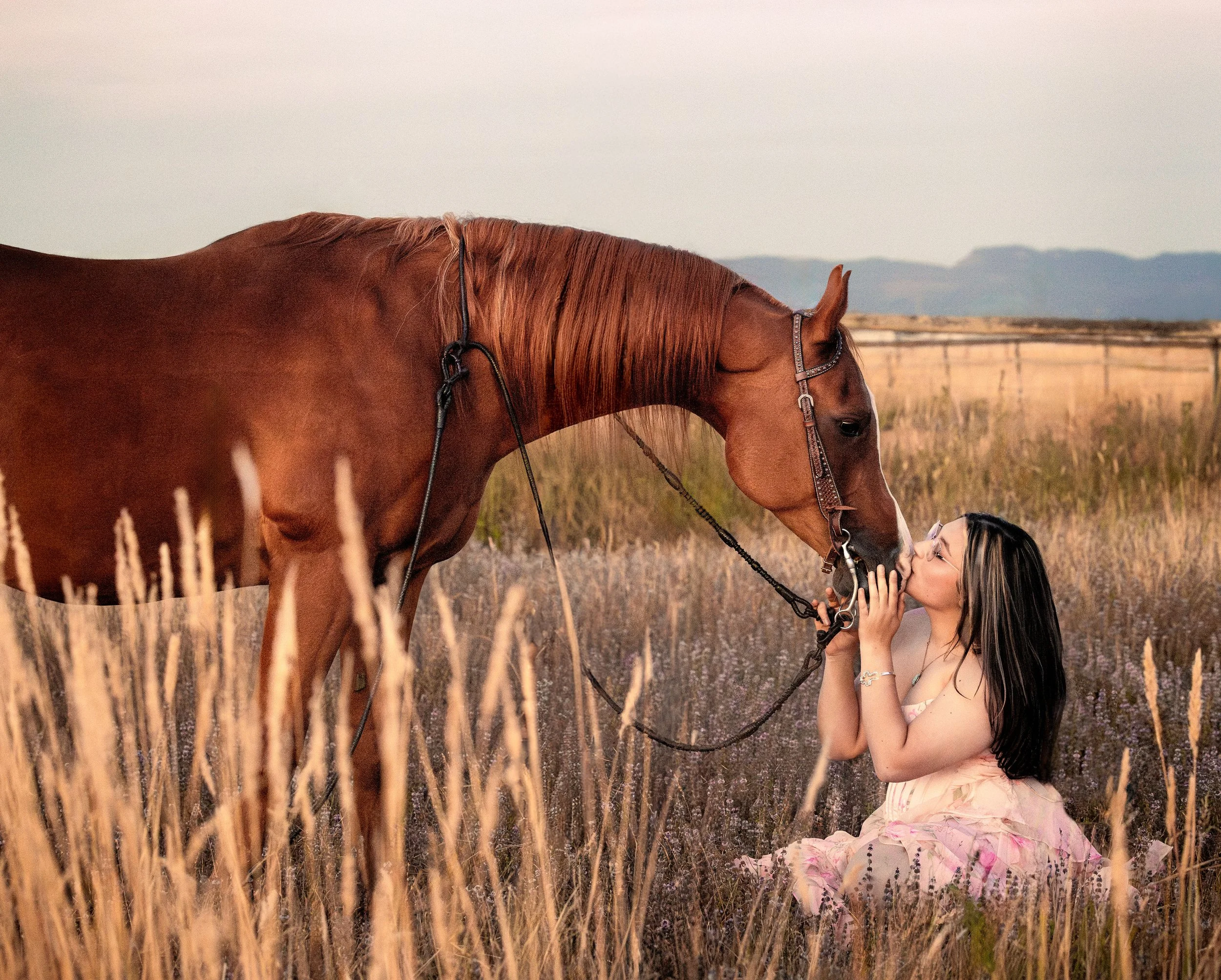 A woman kneeling in a field of tall grass, holding the bridle of a brown horse with a flowing mane, during sunset or sunrise.