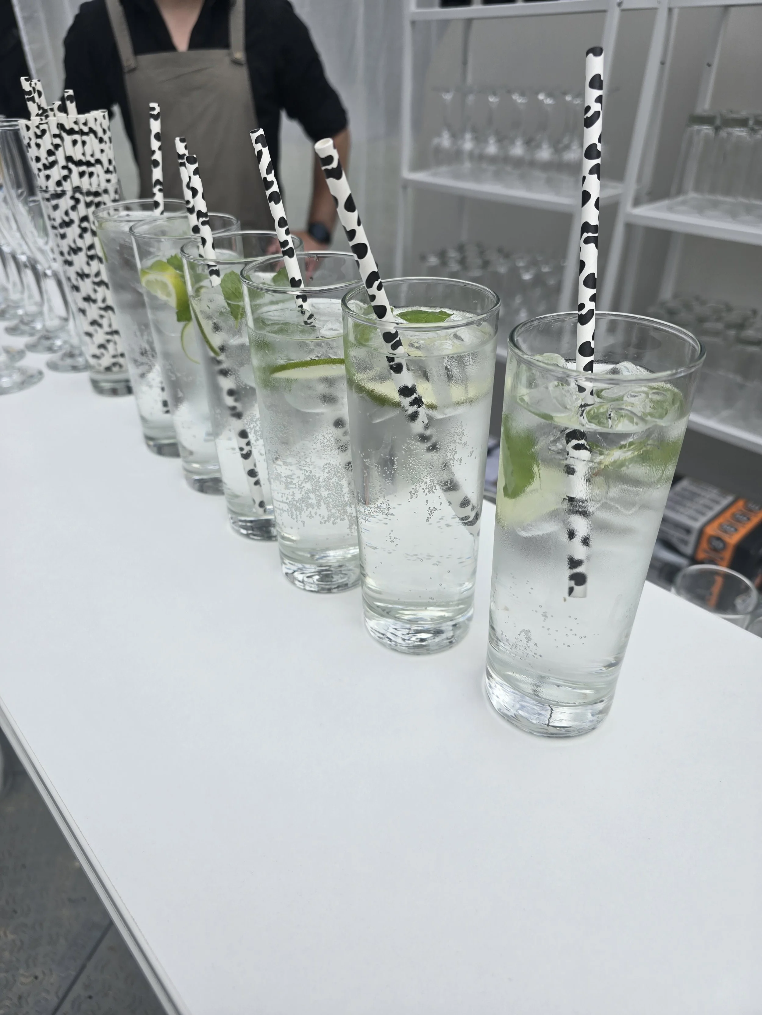 Mojito cocktails.jpg